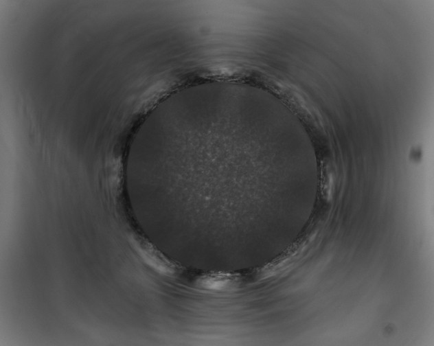 X0000100750563200807031338