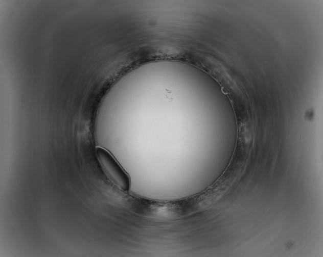 X0000100750564200807031338