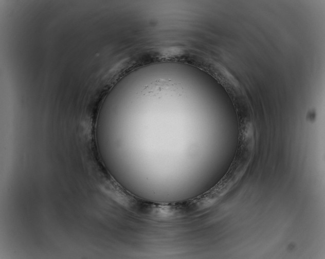 X0000100750565200807031339