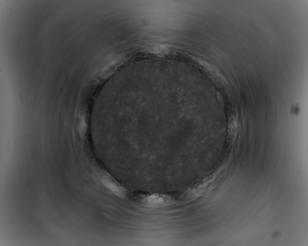 X0000100750566200807031339