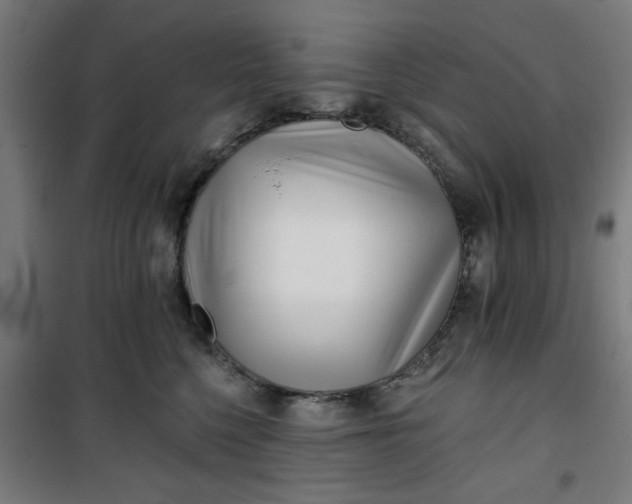 X0000100750568200807031339