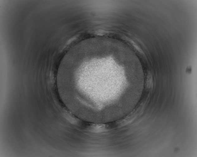 X0000100750569200807031339