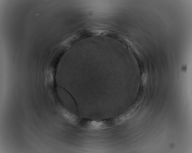 X0000100750570200807031339