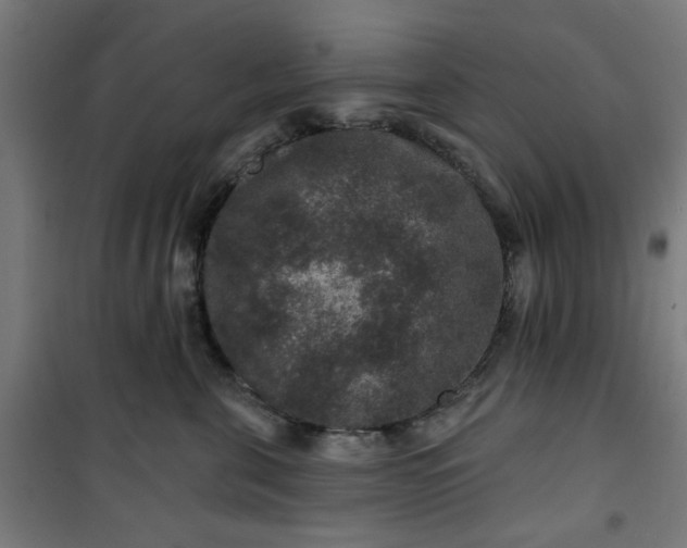 X0000100750571200807031339