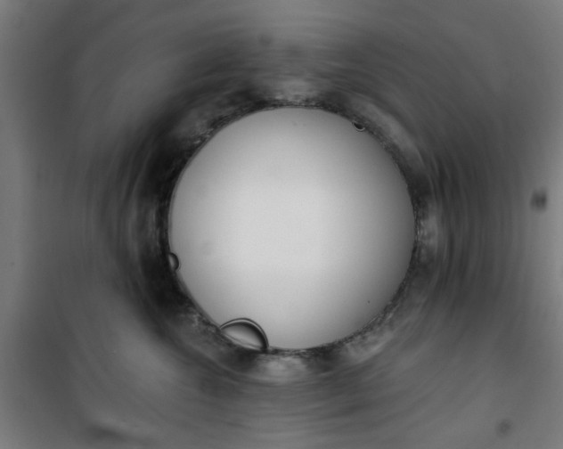 X0000100750572200807031339