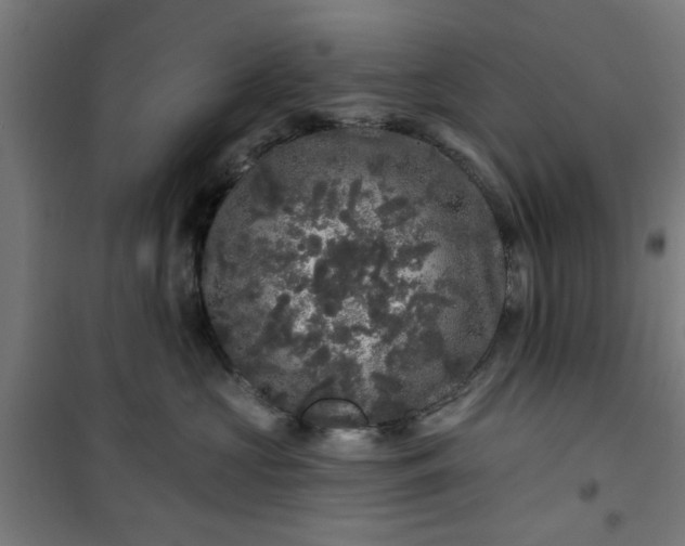 X0000100750573200807031339