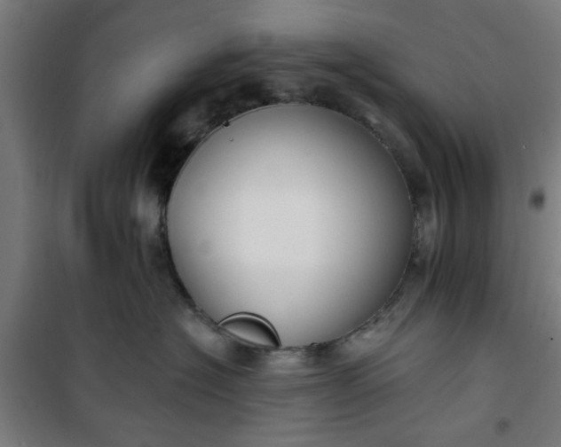 X0000100750574200807031339