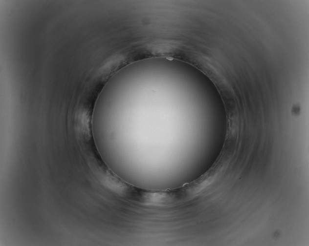 X0000100750575200807031339