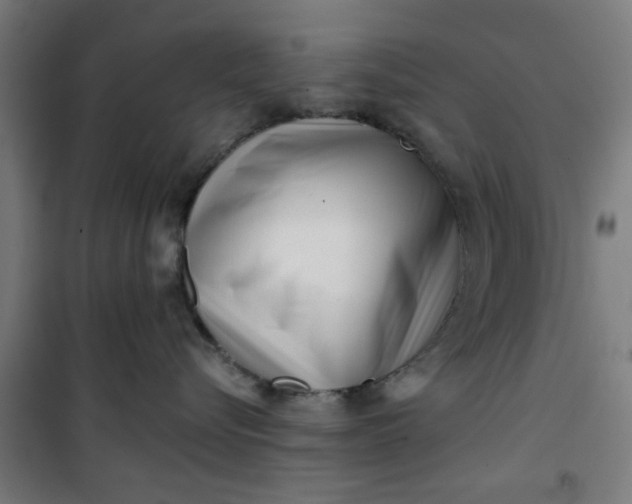 X0000100750576200807031339