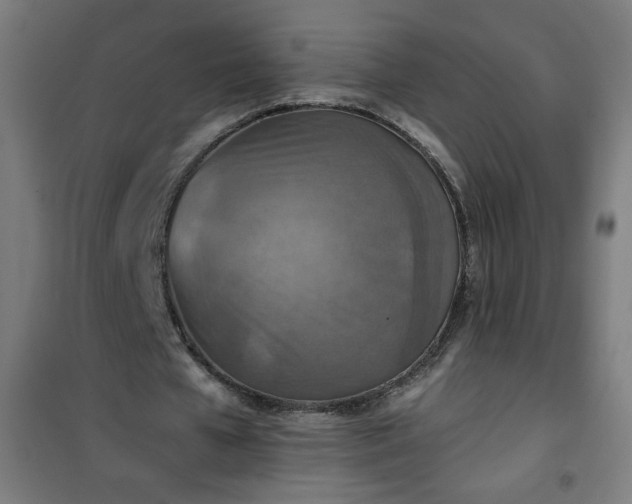 X0000100750577200807031338