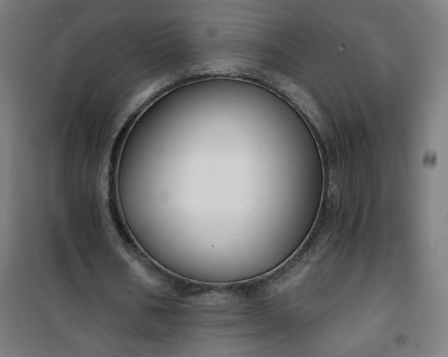 X0000100750578200807031338