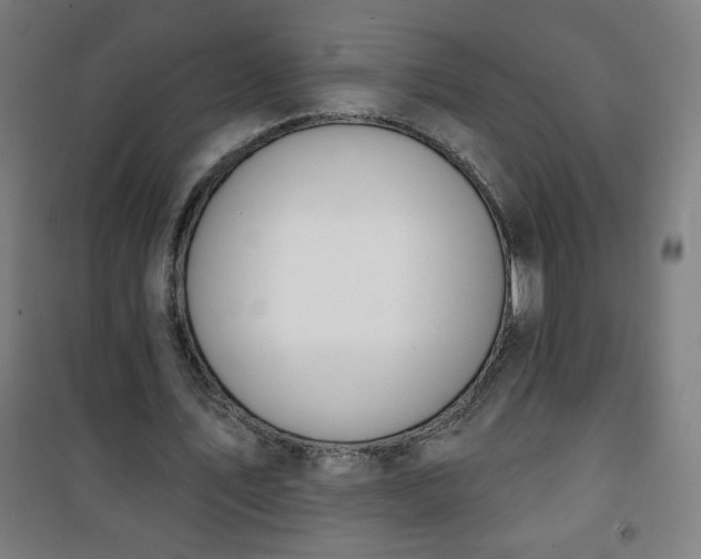 X0000100750579200807031338