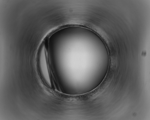 X0000100750580200807031338