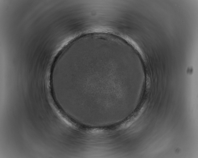 X0000100750581200807031338