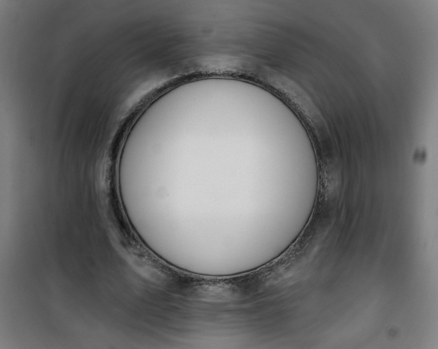 X0000100750583200807031338