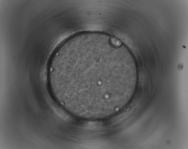 X0000100750584200807031338