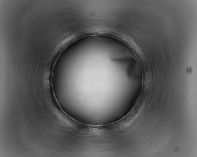 X0000100750585200807031338