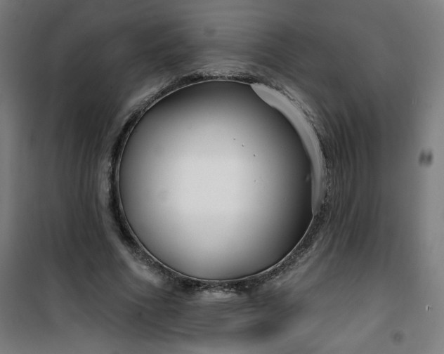 X0000100750586200807031338