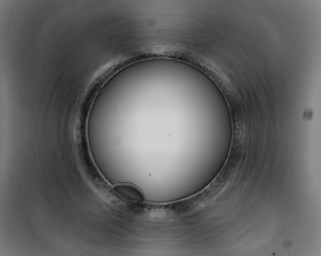 X0000100750587200807031338