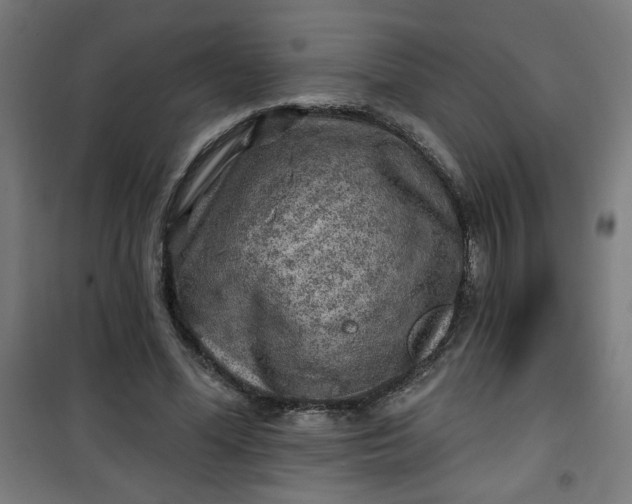 X0000100750588200807031338