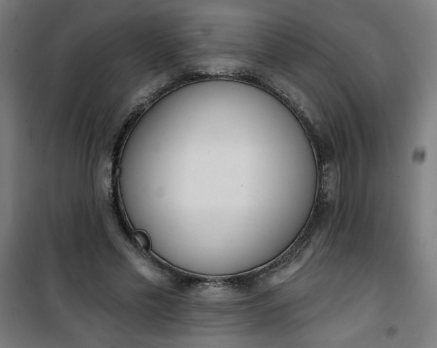 X0000100750589200807031338