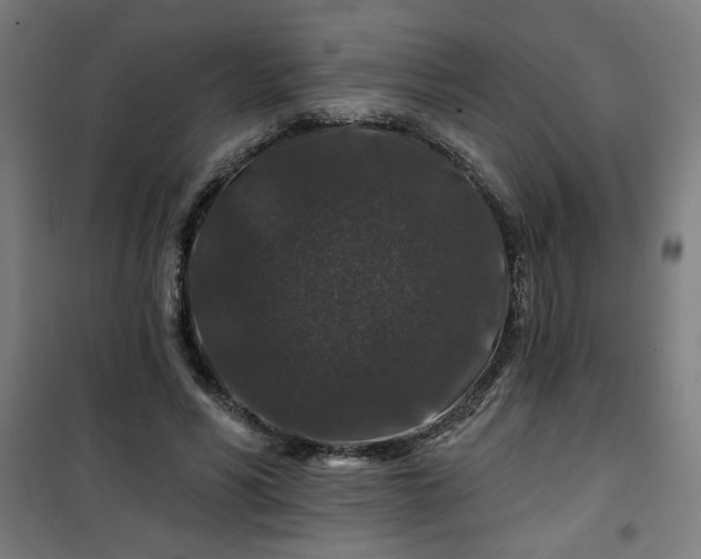 X0000100750590200807031338