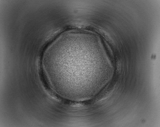 X0000100750594200807031338