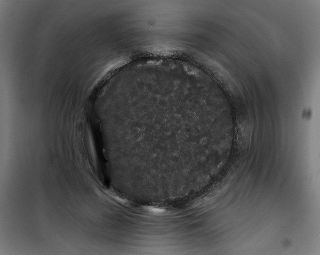 X0000100750596200807031338