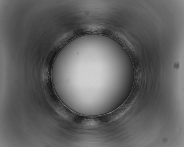 X0000100750597200807031338