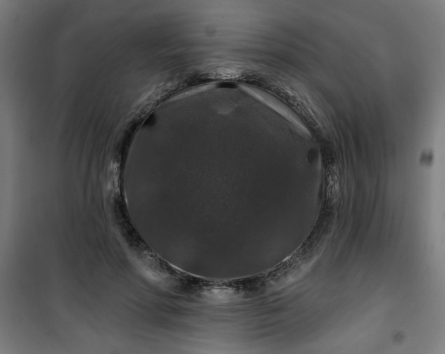 X0000100750598200807031338