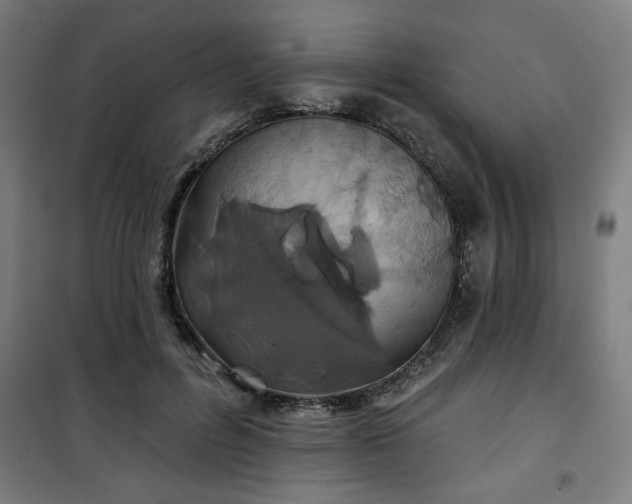 X0000100750600200807031337