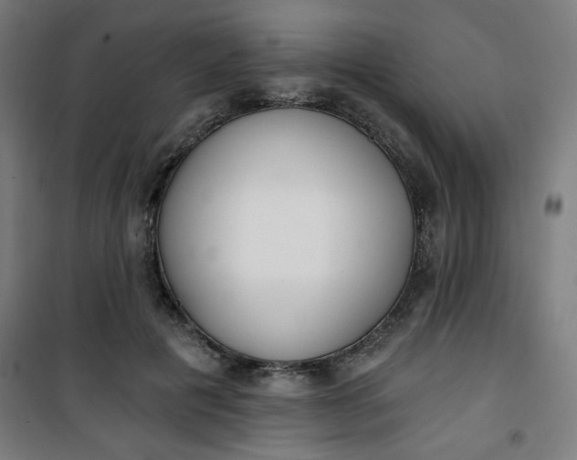 X0000100750601200807031337