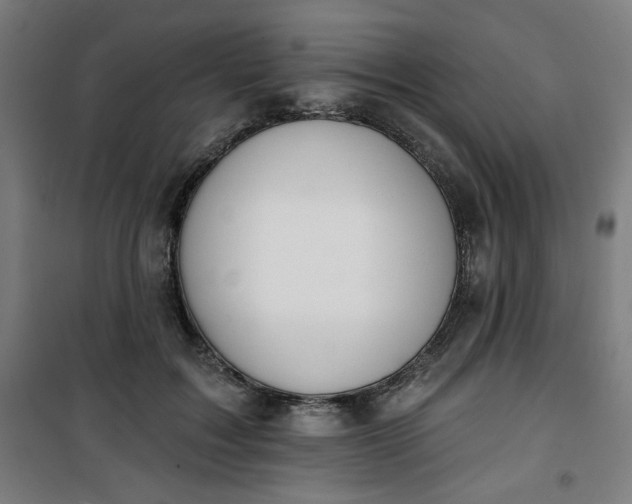 X0000100750603200807031337