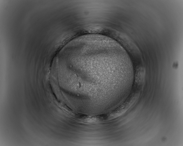 X0000100750604200807031337