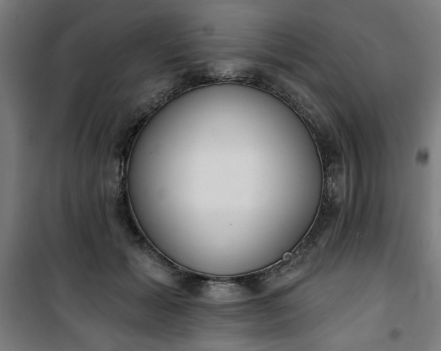 X0000100750605200807031337