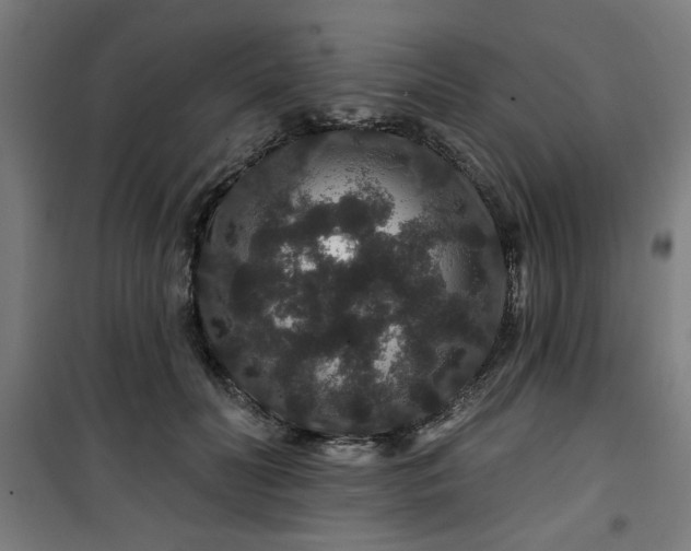 X0000100750606200807031337