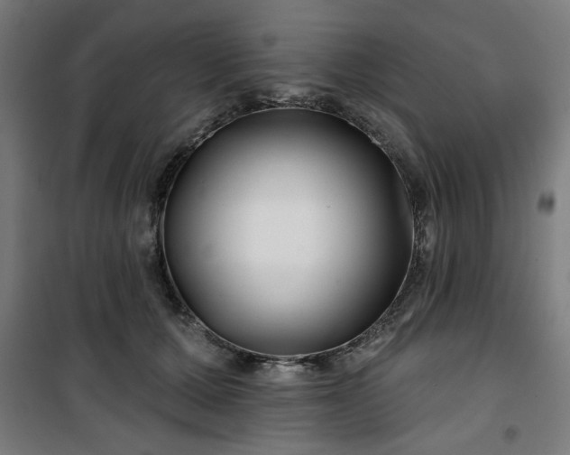 X0000100750607200807031337