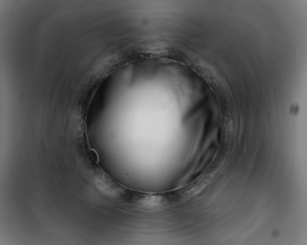 X0000100750609200807031337