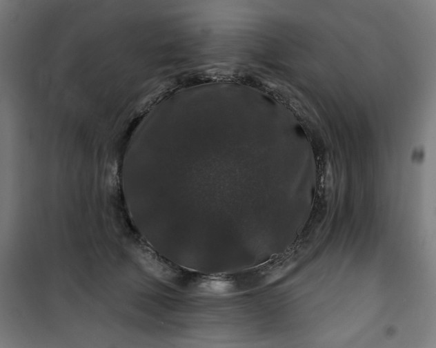 X0000100750610200807031337