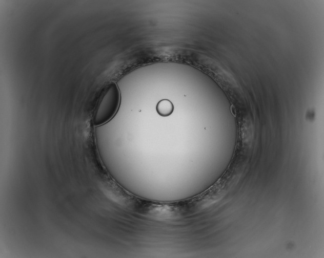 X0000100750611200807031337