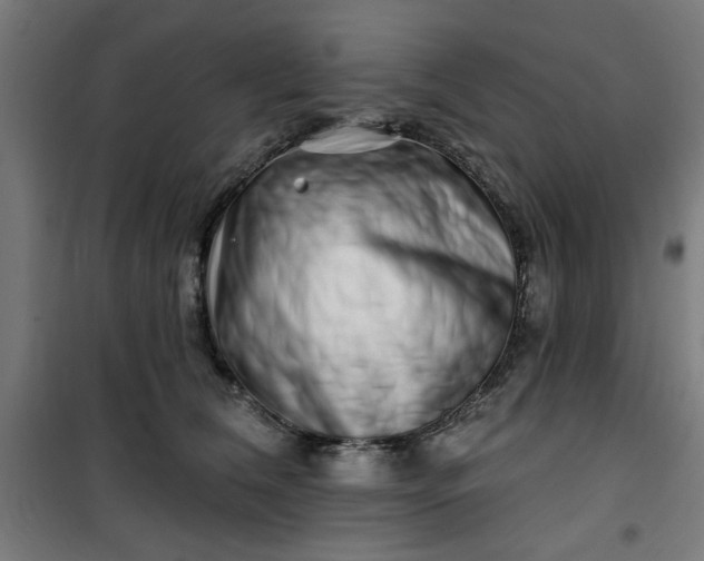 X0000100750612200807031337