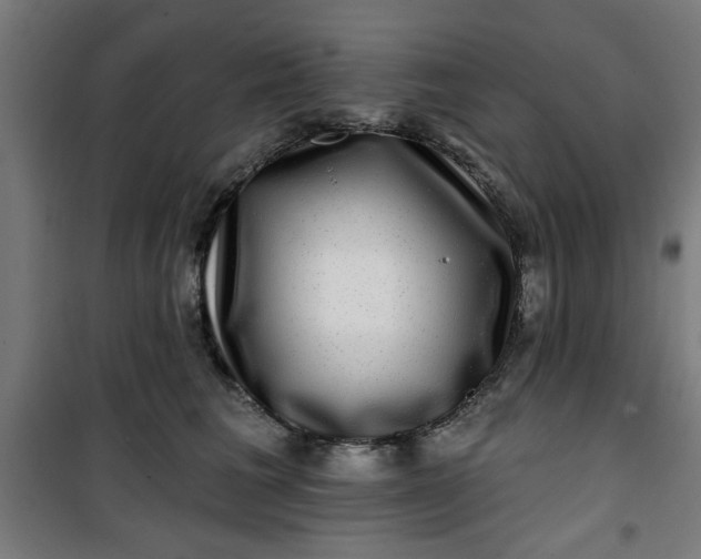 X0000100750613200807031337