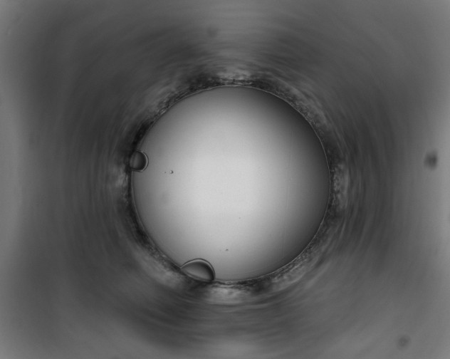 X0000100750614200807031337