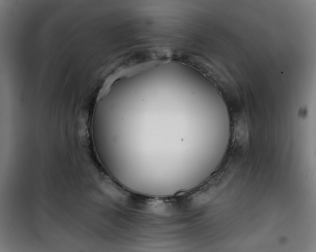 X0000100750616200807031337