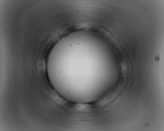 X0000100750617200807031337