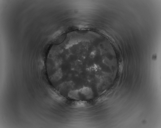 X0000100750618200807031337