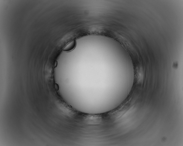 X0000100750619200807031337