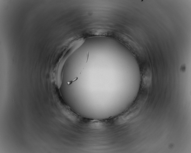 X0000100750620200807031337