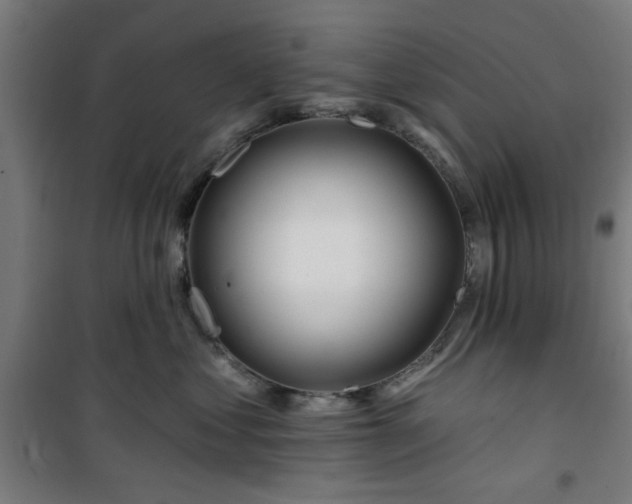 X0000100750621200807031337