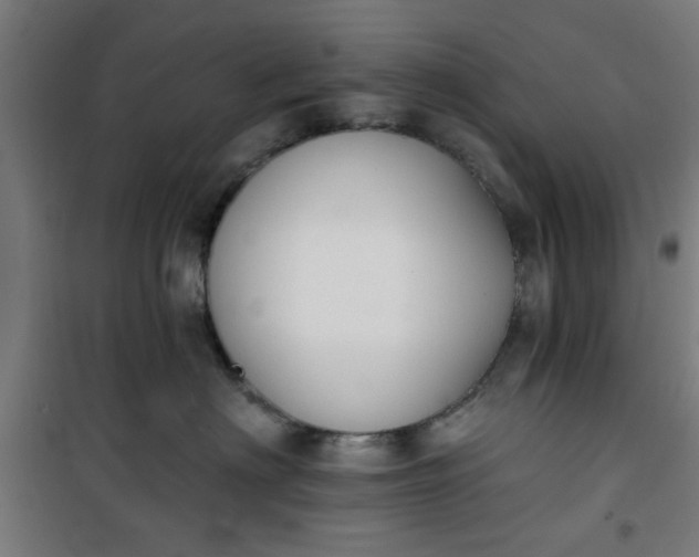 X0000100750622200807031337